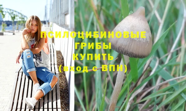 PSILOCYBIN Костерёво