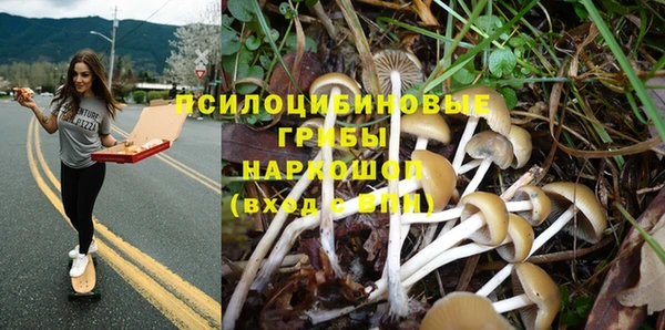 каннабис Коряжма