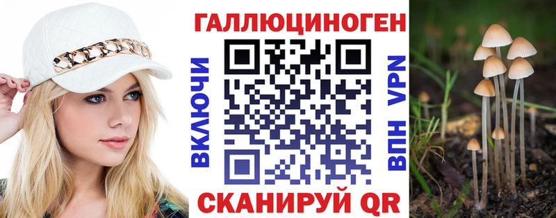 Купить  Пушкино  Псилоцибиновые грибы Magic Shrooms 